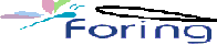 logo ghas foring image